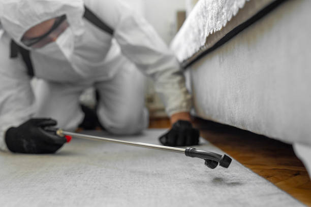 Professional Termite Control technician working in Dukes County County, MA